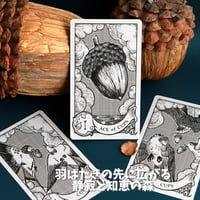 羽根ペンとインクのタロットカード｜正規輸入品