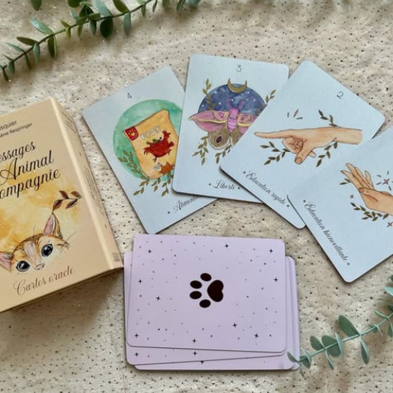 タロットカード フード アニマル 動物 こうじ 可愛い 占い