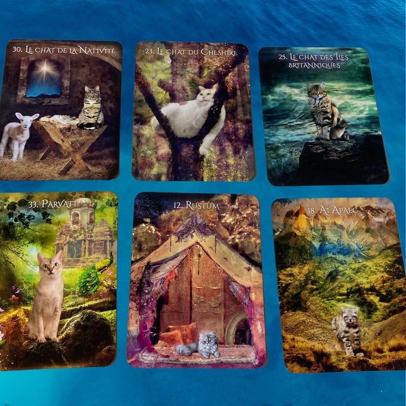 猫のイニシエーションオラクルカード｜正規輸入品 | タロクル｜TaroCle