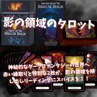 洋書 THE DARK TEA SOCIETY TAROT Dark Tea Society Tarot Deck: Rider Waite Style, Victorian