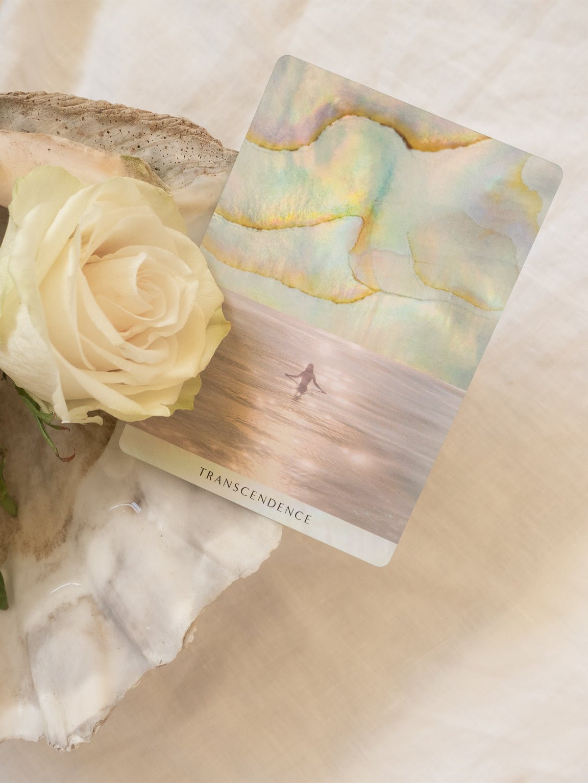 新品未開封 ocean dreams oracle オーシャンドリーム　オラクル 新品未開封 ocean dreams oracle オーシャンドリーム オラクル