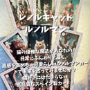 66f6f95d57ef721aabf079fe