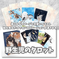 世界の女神オラクルカード (正規品・希少) | タロクル｜TaroCle