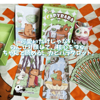 カビパラタロットカード｜作者直輸入・希少デッキ