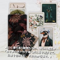 アセンションタロットカード (正規品・希少) | タロクル