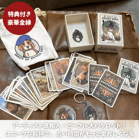 ビーグル様売約済み ビーグル | STORES