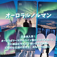 オーロラルノルマンカード｜作者直輸入・希少デッキ