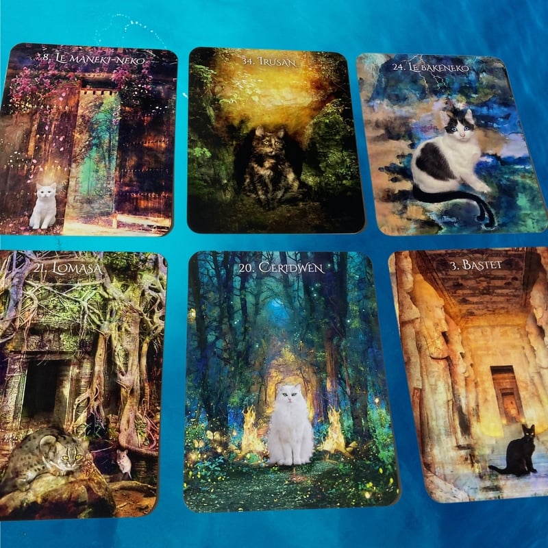 猫のイニシエーションオラクルカード｜正規輸入品 | タロクル｜TaroCle