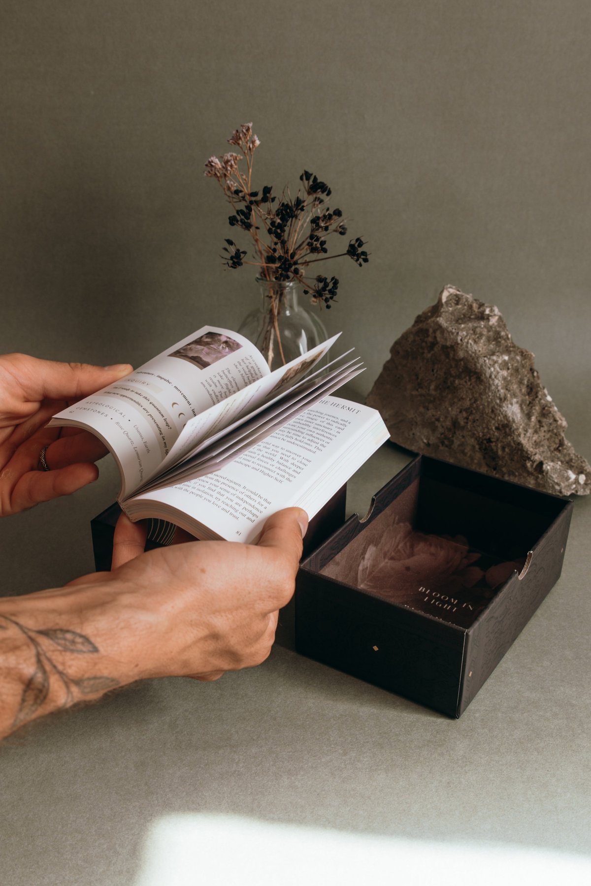 ムーンチャイルド タロット Shadow work 版 新品未開封 英語版 THE MOONCHILD TAROT - SHADOW WORK EDITION ムーンチャイルド