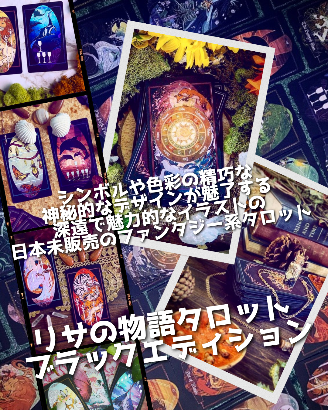 リサの物語タロットカード ブラックエディション｜作者直輸入・希少