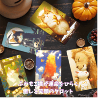 ポーセリンタロットカード｜作者直輸入・希少デッキ | タロクル