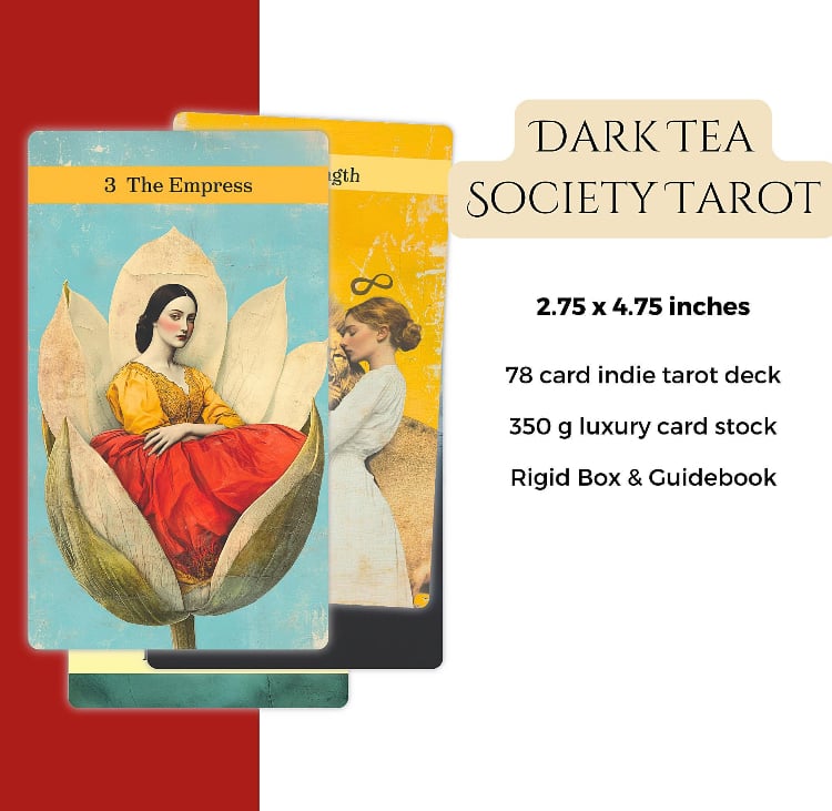 洋書 THE DARK TEA SOCIETY TAROT Dark Tea Society Tarot Deck: Rider Waite Style, Victorian