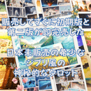 665277ec941bd601f9719a97