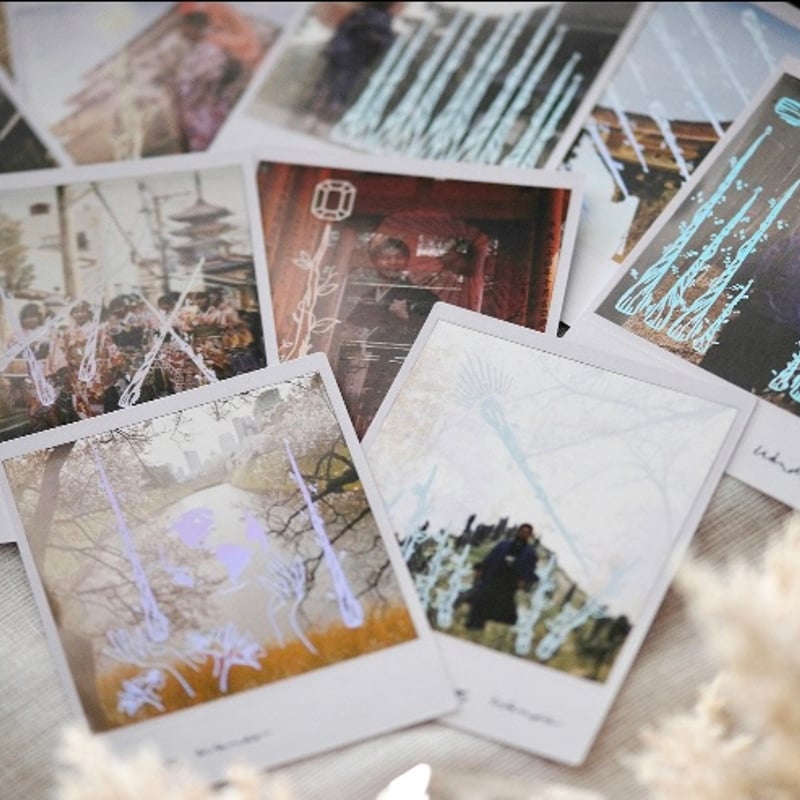 【希少レア】TRUE NORTH TAROT＆Wild Lands Tarot ワイルドランドタロットカード｜作者直輸入・希少デッキ | タロクル