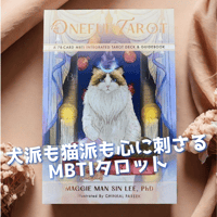 猫が世界を救うタロットカード DXエディション (正規品・希少