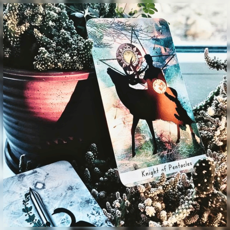 素敵な影絵のタロットカード｜作者直輸入・希少デッキ | タロクル