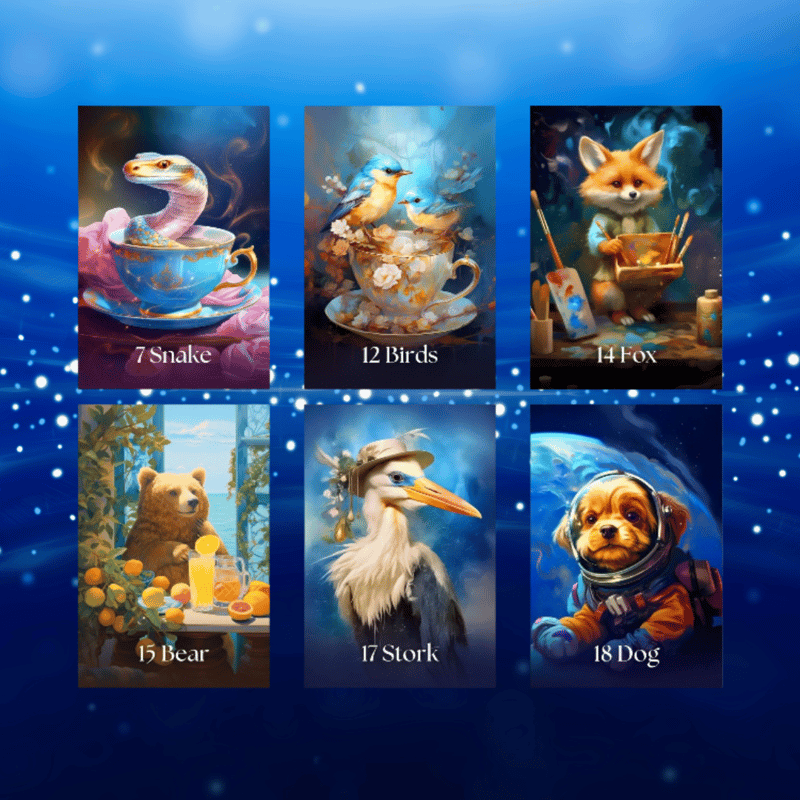 数量限定の希少インディーズデッキ✨カリフォルニアを描いたルノルマンカード 数量限定の希少インディーズデッキ✨カリフォルニアを描いた