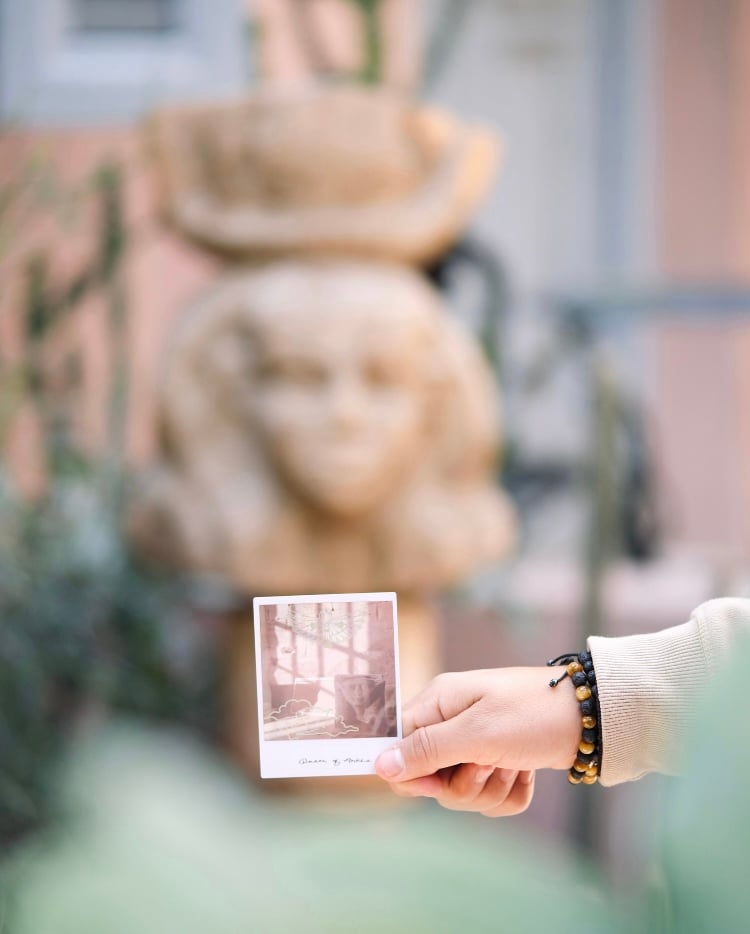 ワイルドランドタロットカード｜作者直輸入・希少デッキ | タロクル