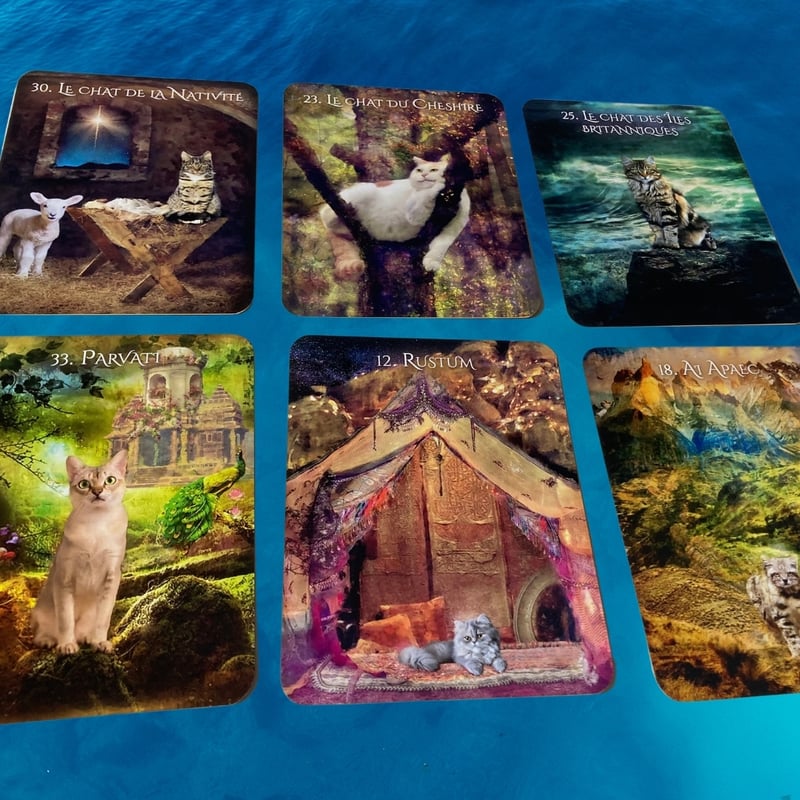 猫のイニシエーションオラクルカード｜正規輸入品 | タロクル｜TaroCle