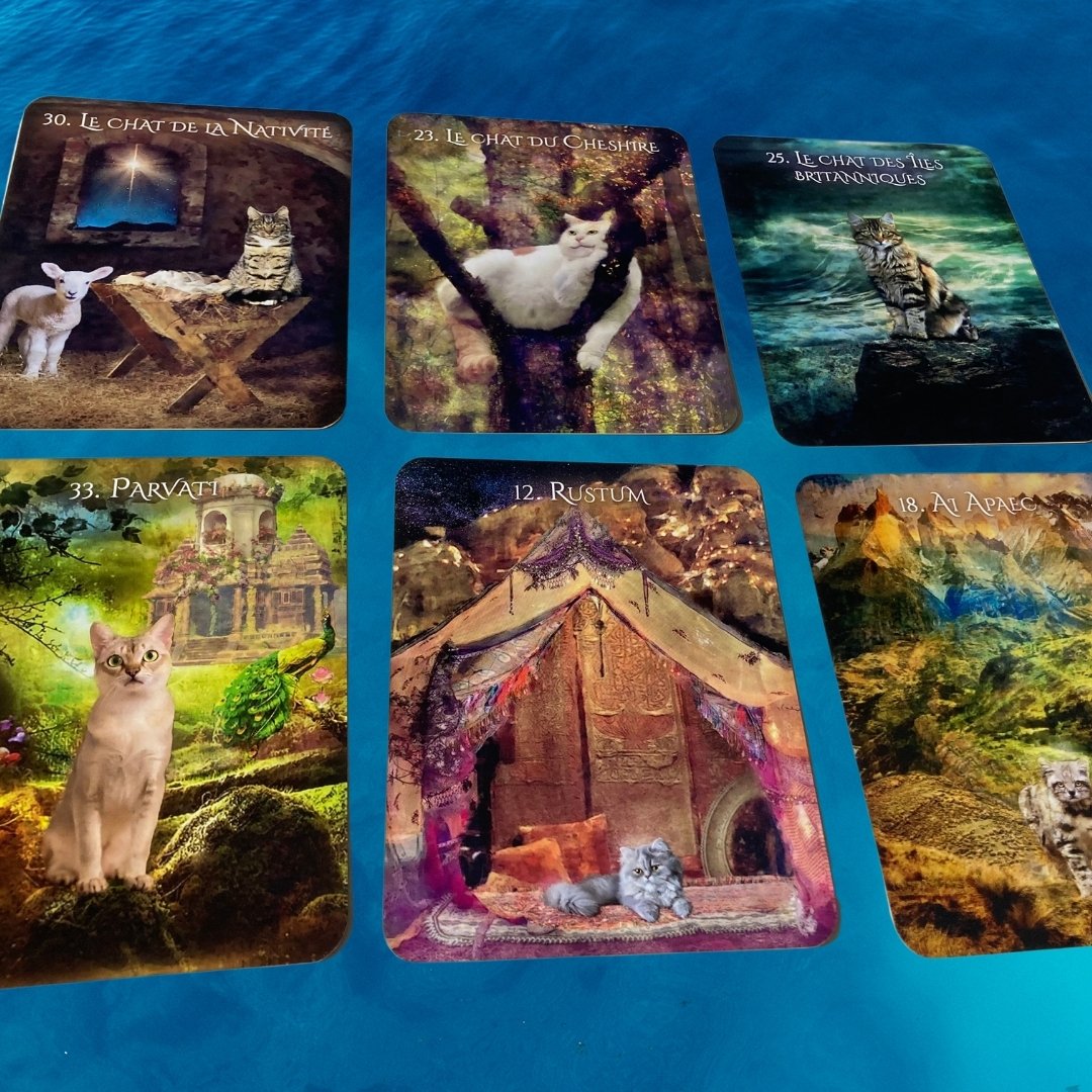 猫のイニシエーションオラクルカード｜正規輸入品 | タロクル｜TaroCle