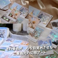 ワイルドランドタロットカード｜作者直輸入・希少デッキ