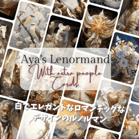 アヤルノルマンカード｜作者直輸入・希少デッキ