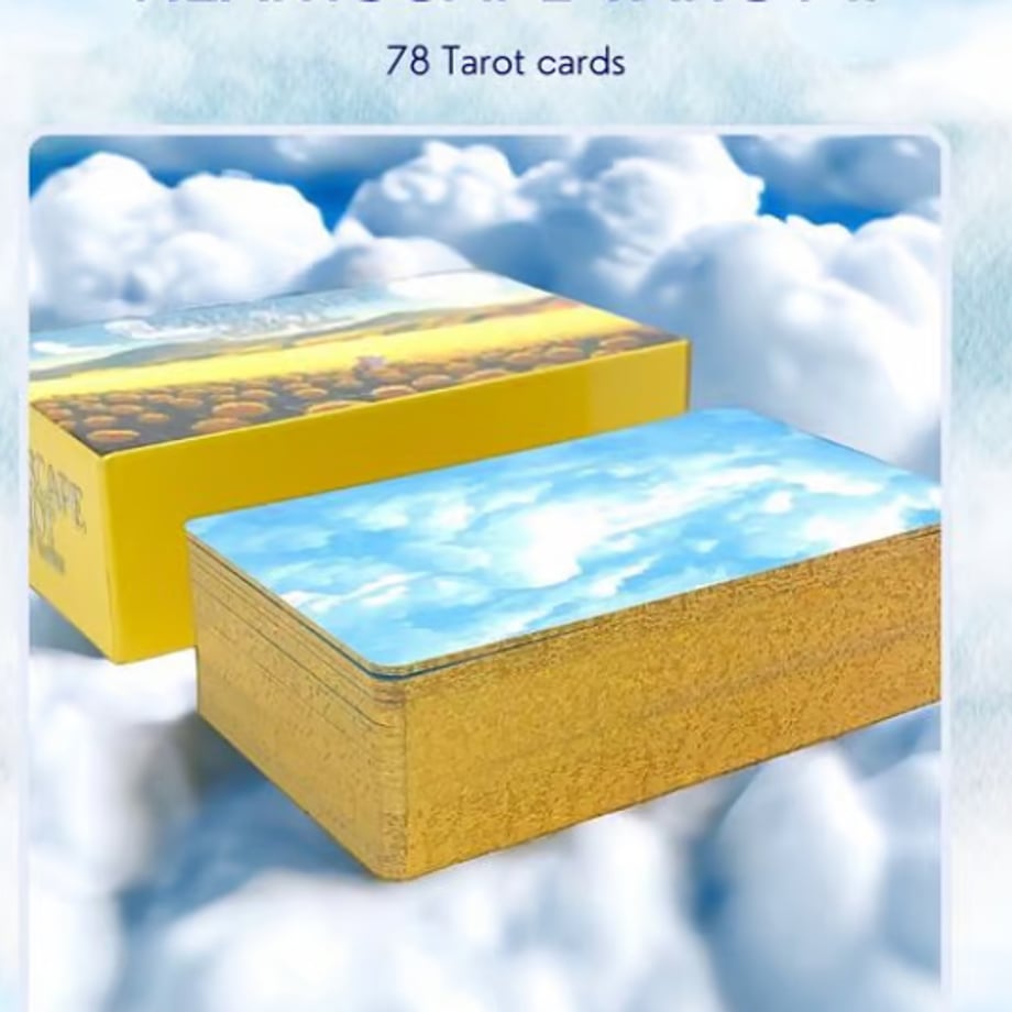 665277ec941bd601f9719a97