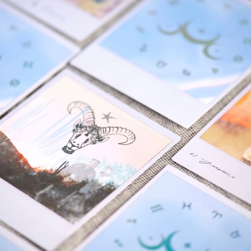 ワイルドランドタロットカード (正規品・希少) | タロクル