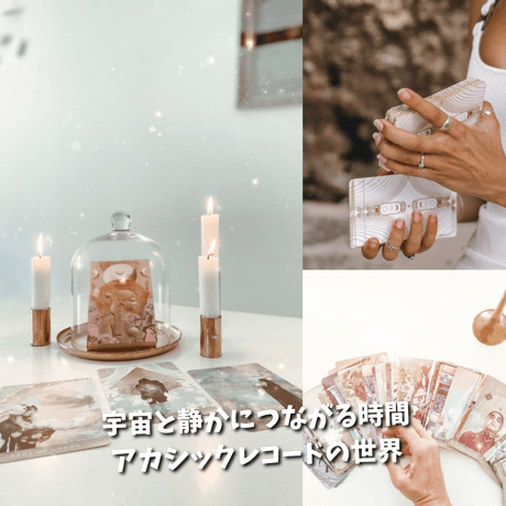 ダニエル・ノエル | STORES