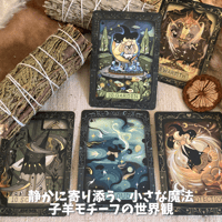 ムードダイアリー 30% ルノルマン｜作者直輸入・希少デッキ