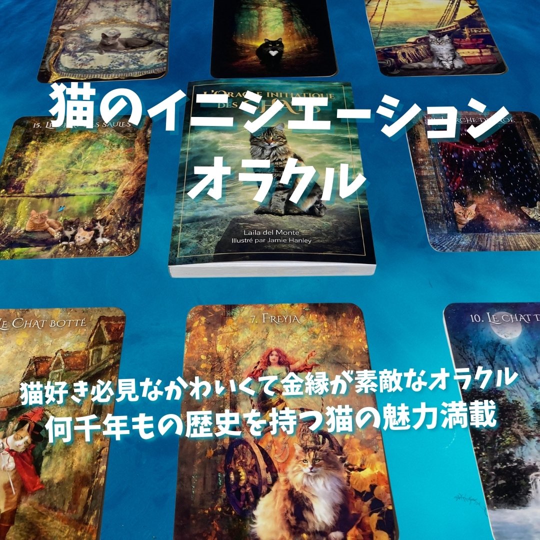 猫のイニシエーションオラクルカード｜正規輸入品 | タロクル｜TaroCle