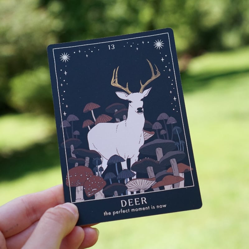 フォレストテイルズオラクルカード｜作者直輸入・希少デッキ