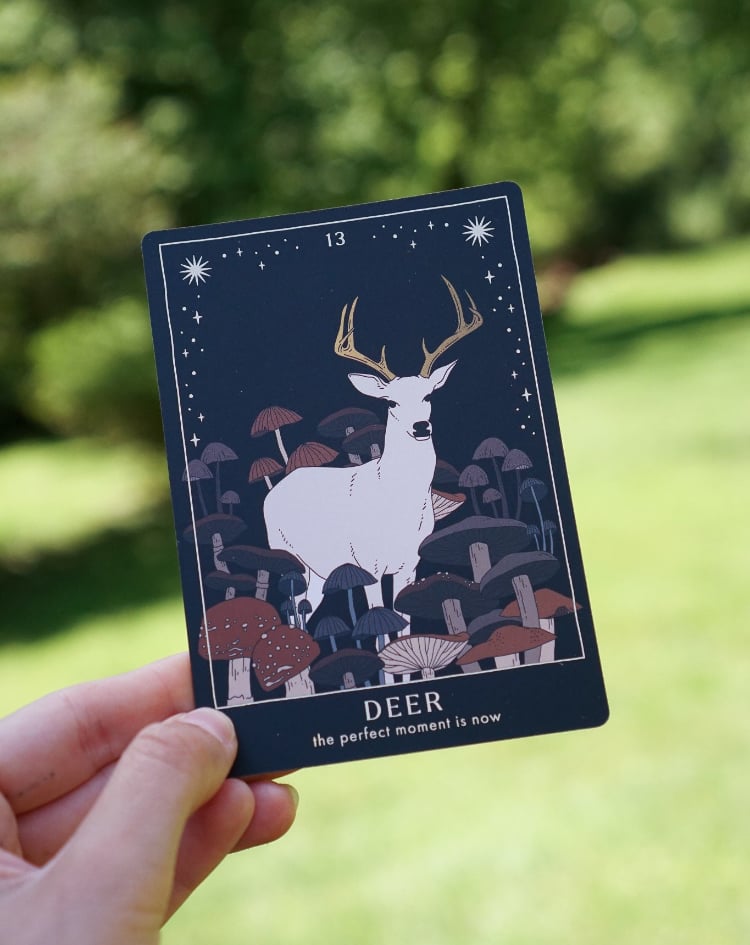 フォレストテイルズオラクルカード｜作者直輸入・希少デッキ