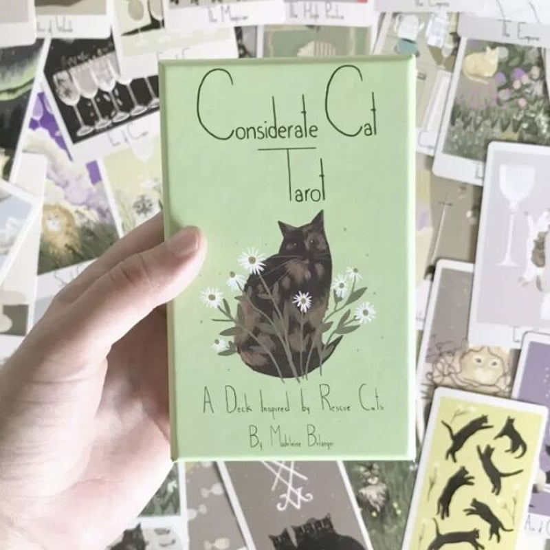 イタリア製 猫のタロットカード 希少 新品未使用 ケースいり タロットカード タロット占い 猫 ねこ ネコ モチーフ 可愛い