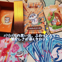 リトル・ラクーン・タロット｜作者直輸入・希少デッキ