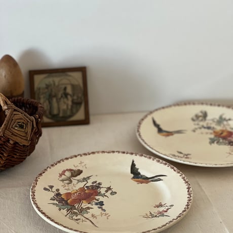 エミールブルジョワ | STORES