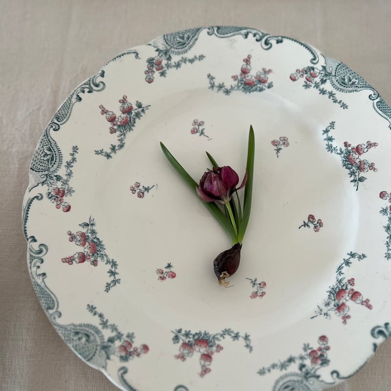 Longwy 平皿D | Cécil Le deuxième Brocante