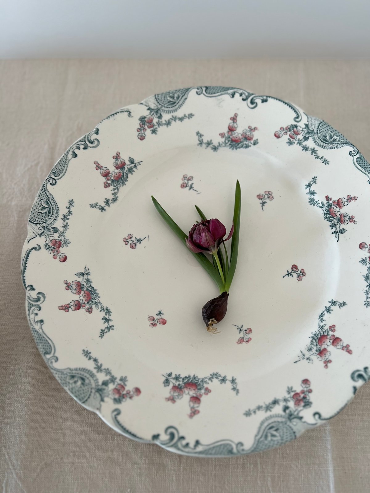 Longwy 平皿D | Cécil Le deuxième Brocante