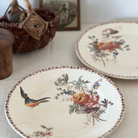 エミールブルジョワ | STORES