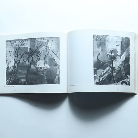 MARIN IN OIL / Parrish Art Museum (1987)