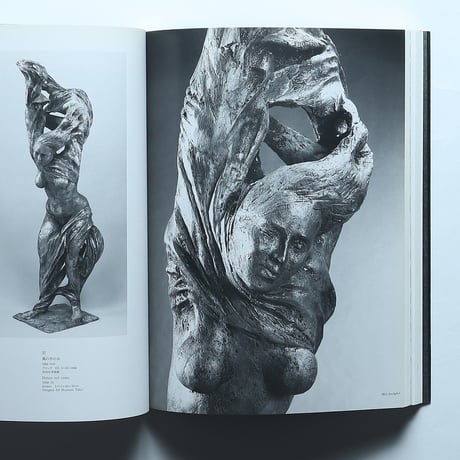 ファッツィーニ展 図録 / ファッツィーニ展実行委員会(1990)