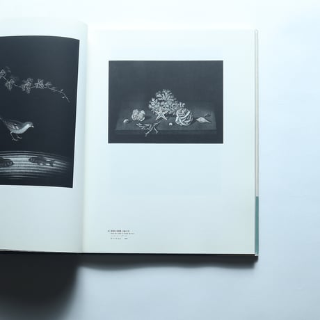 長谷川潔  日本現代版画/玲風書房 (1994)