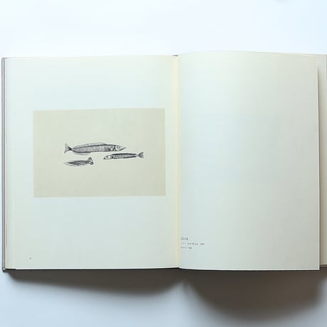 駒井哲郎版画作品集  / 美術出版社(1979年)