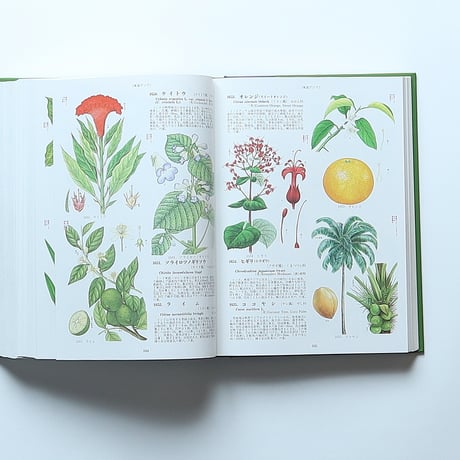 原色世界植物大図鑑 / 北隆館(1986）