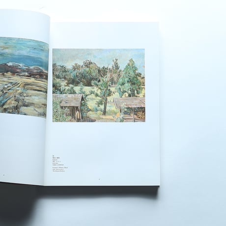 生誕100年記念・没後20年　岡田謙三展 図録/ 横浜美術館(2003)