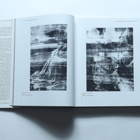 Leonardo da Vinci: The Complete Paintings / ‎ Harry N. Abrams (2000)