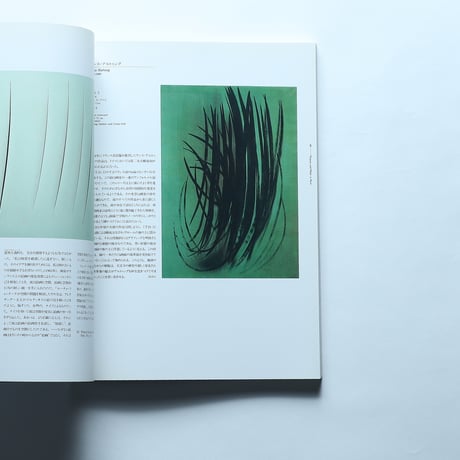 20世紀美術の挑戦 ルートヴィヒ美術館展 図録 / 横浜美術館(1995)