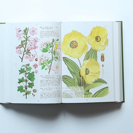 原色世界植物大図鑑 / 北隆館(1986）