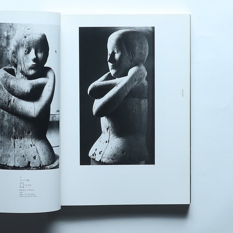ファッツィーニ展 図録 / ファッツィーニ展実行委員会(1990)