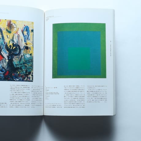 20世紀美術の挑戦 ルートヴィヒ美術館展 図録 / 横浜美術館(1995)